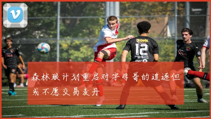 森林狼计划重启对字母哥的追逐但或不愿交易麦丹